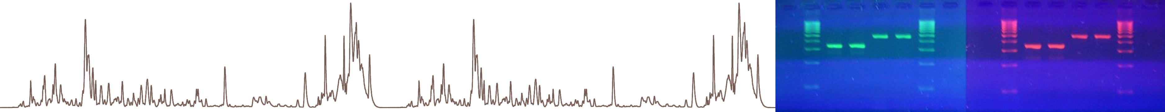chromo methods